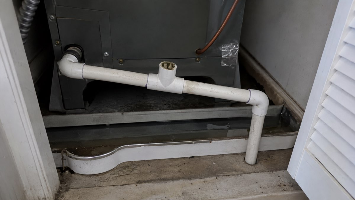 Air-handler condensate drain with an open service tee and algae residue