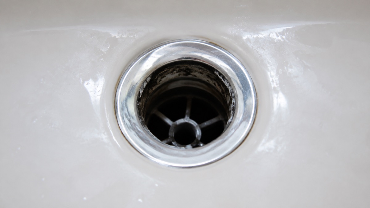 Dark biofilm visible just inside a bathroom sink drain