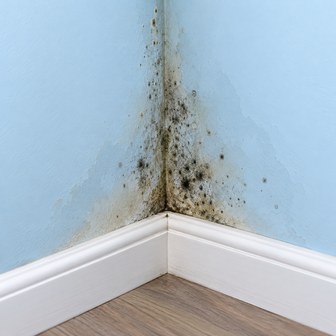 Illustration of moisture and mold spots on a wall
