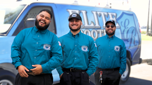 Elite Rooter place picture