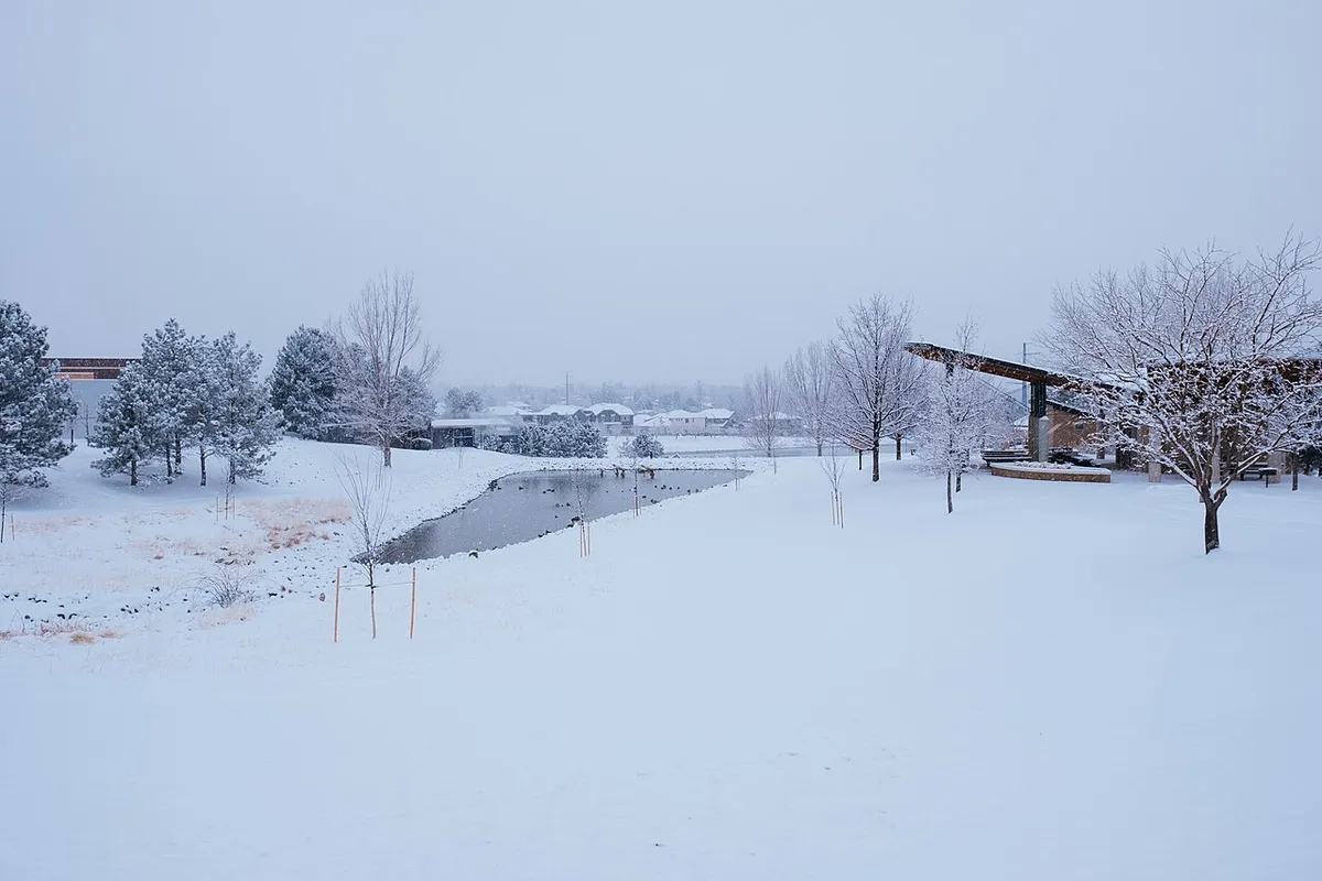 Winter scene in Greenwood Village, Colorado