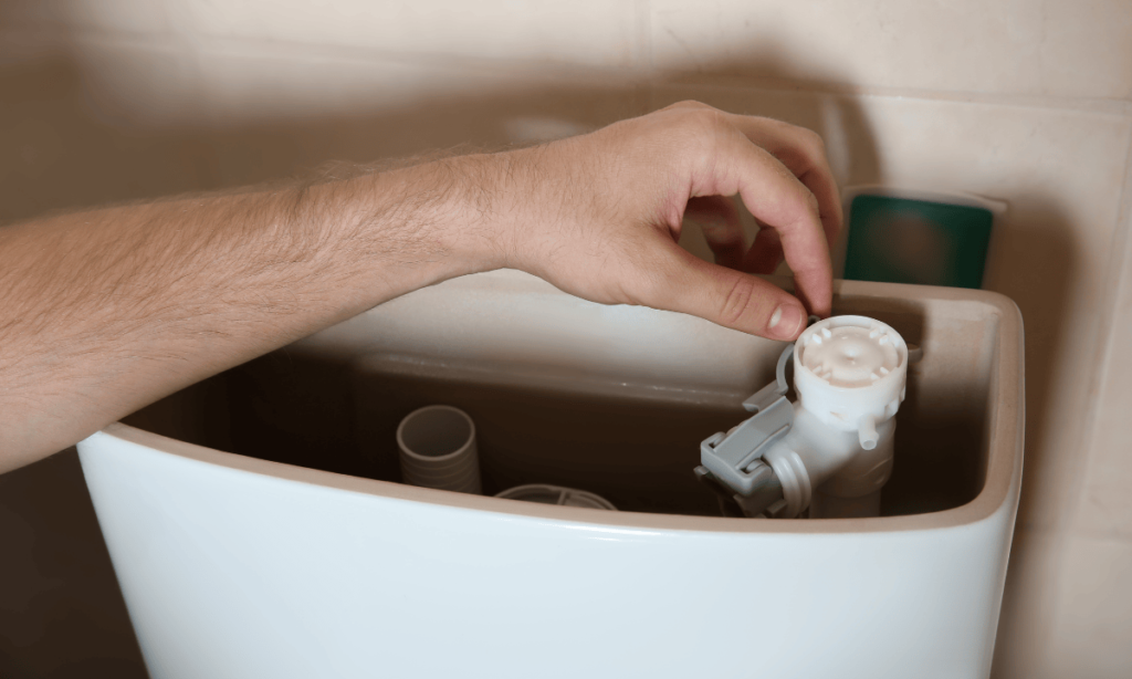 Phantom Flushing