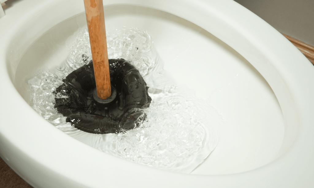 Clogged Toilet