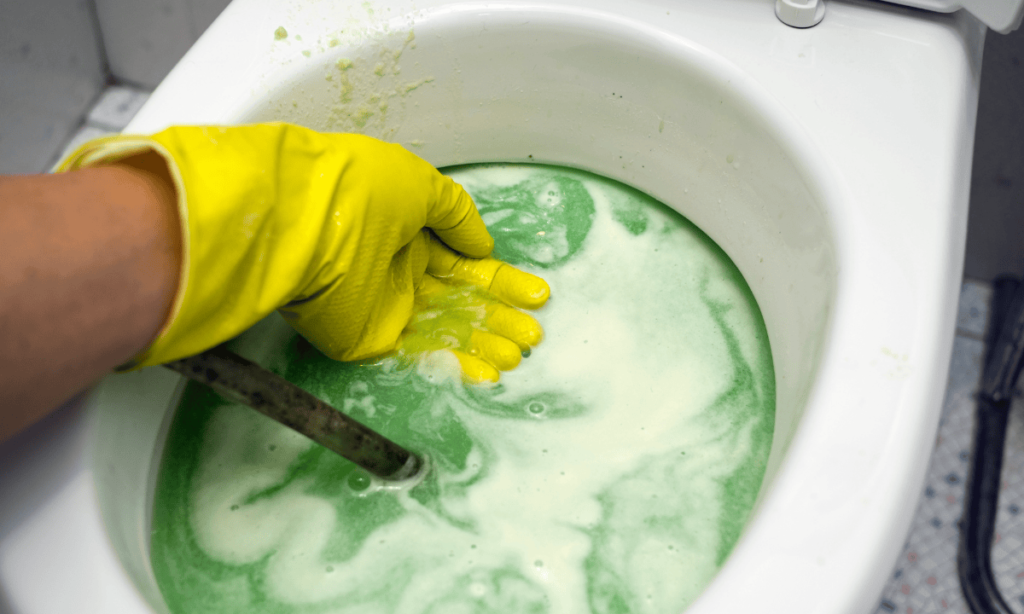 Clogged Toilet