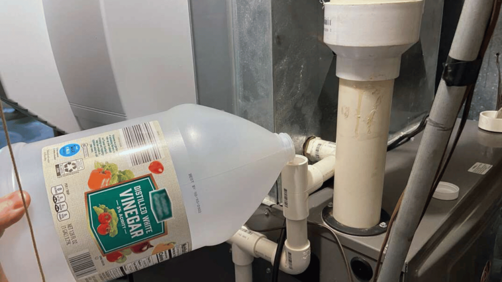 Clean with Vinegar
